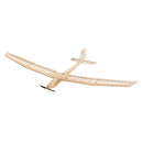Balsa Wood Glider Plane F25 AION-25 Sailplane Kit Unassembled 2500MM (98") Wingspan Large RC Glider Sailplane F3P Model Kit to Build for Adults