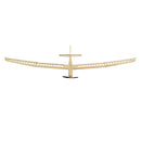 Balsa Wood Glider Plane F25 AION-25 Sailplane Kit Unassembled 2500MM (98") Wingspan Large RC Glider Sailplane F3P Model Kit to Build for Adults