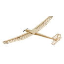 Balsa Wood Glider Plane F25 AION-25 Sailplane Kit Unassembled 2500MM (98") Wingspan Large RC Glider Sailplane F3P Model Kit to Build for Adults