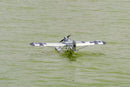 Seaplane Hansa-Brandenburg W.29 1400mm (55inch) Balsa Wood Seaplane, Fixed-Wing Airplane Model RC Airplane Scale Warbird KIT for Adults