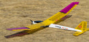 Balsa Wood Glider Plane F25 AION-25 Sailplane Kit Unassembled 2500MM (98") Wingspan Large RC Glider Sailplane F3P Model Kit to Build for Adults